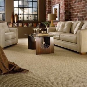 Living room Carpet flooring | CarpetsPlus of Steamboat Springs