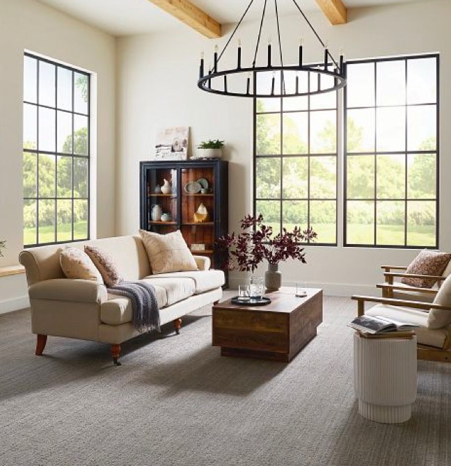 Living room Carpet | CarpetsPlus of Steamboat Springs