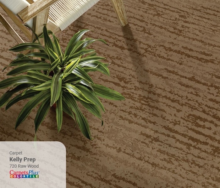 Carpet flooring | CarpetsPlus of Steamboat Springs