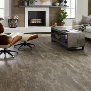 Vinyl flooring for living room | CarpetsPlus of Steamboat Springs